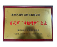 專精特新企業(yè)證書